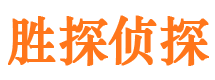 卢氏私家调查公司